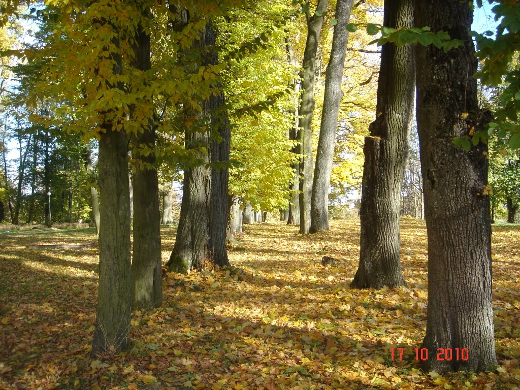 Багратионовск. Парк .