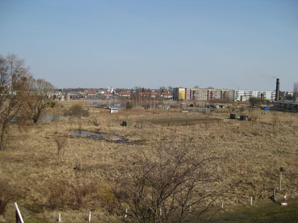 Багратионовск