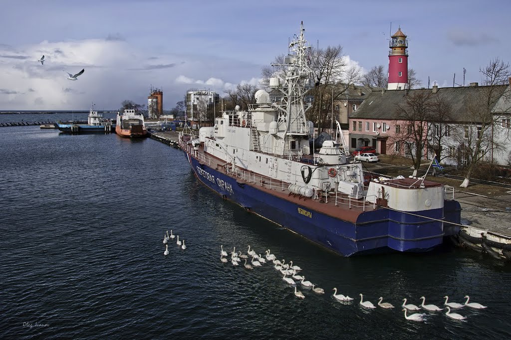Береговая охрана (Coast guard)
