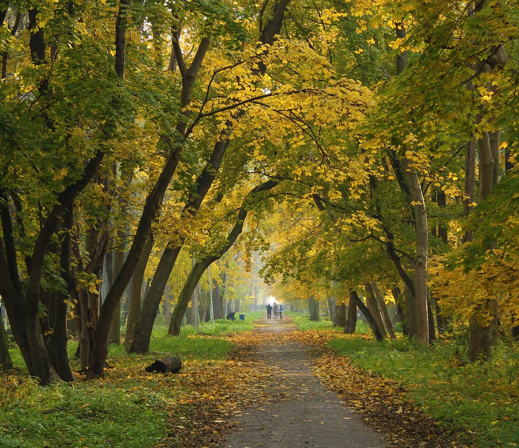 #1 Seaside Park in Baltiisk. Russia. Осенью на центральной аллее в Приморском парке в Балтийске.