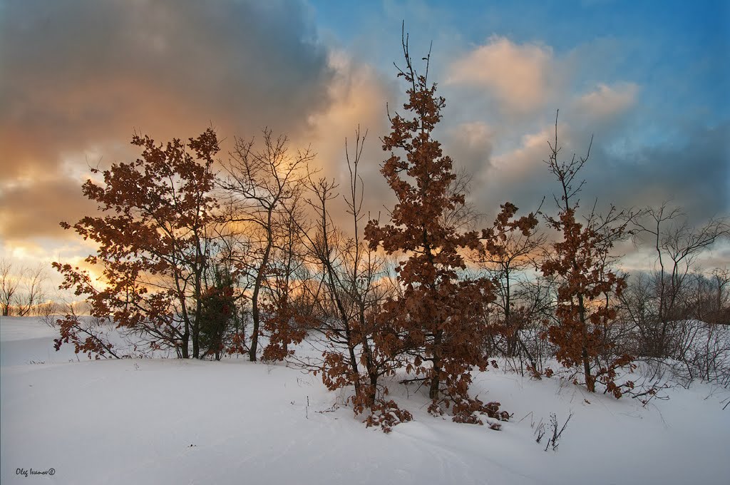 Самые крепкие
