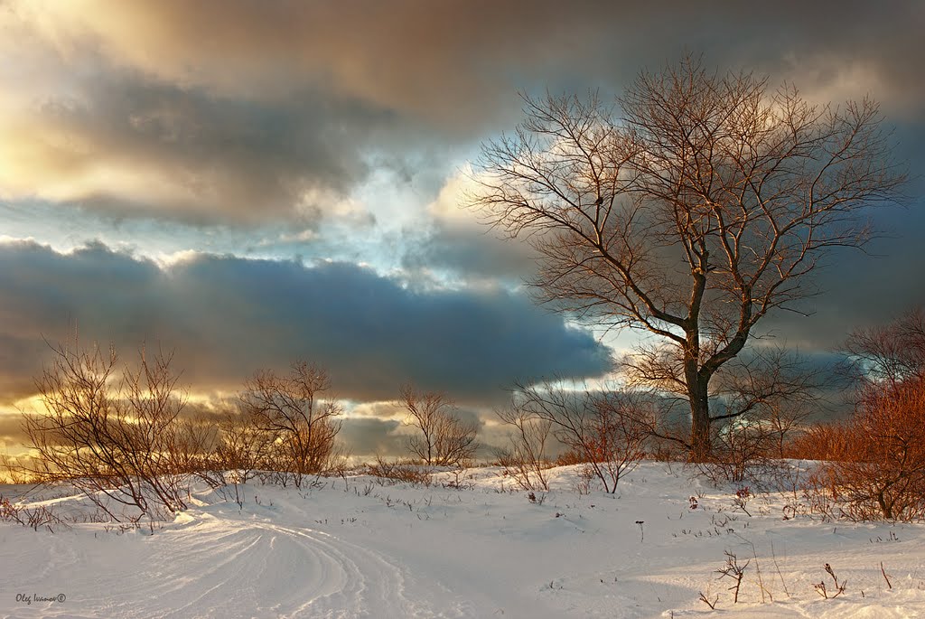 Балтийская зима. 31.12.2010 г.