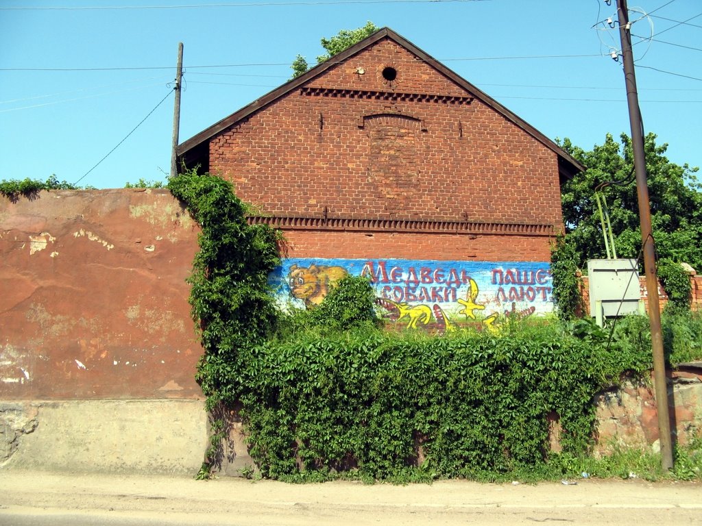 Графити, г.Гвардейск (ранее Tapiau)