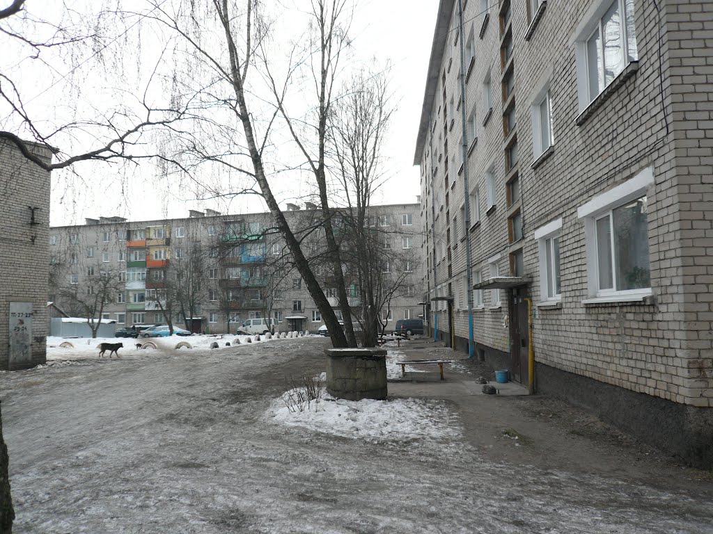 ул. Совхозная, г. Гвардейск
