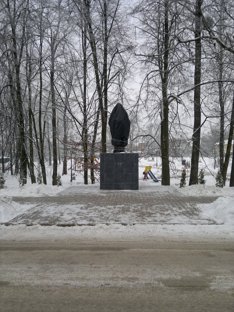 Ленин в мусорном пакете 16.01.2013