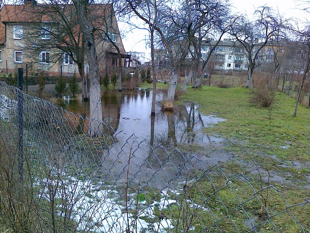 Сад поплыл прямо в городе