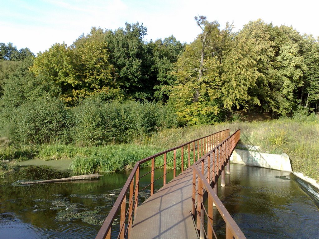 Dilapidated bridge