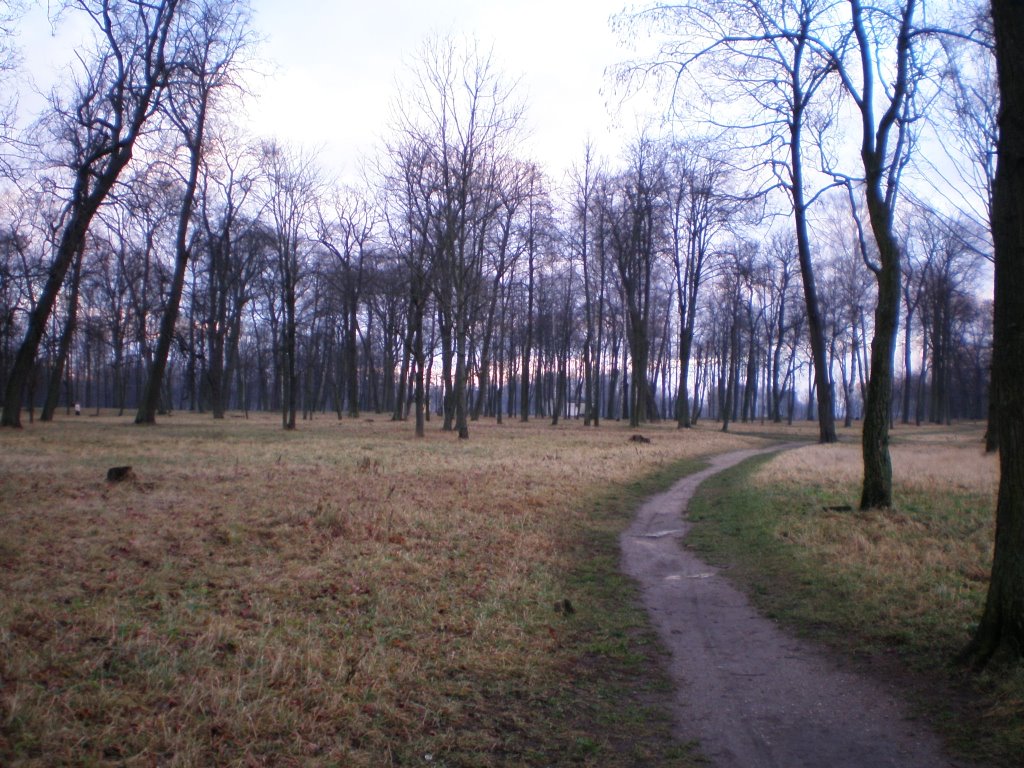 Городской парк