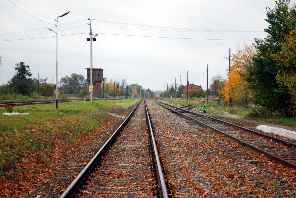 Station tracks (view of the south)