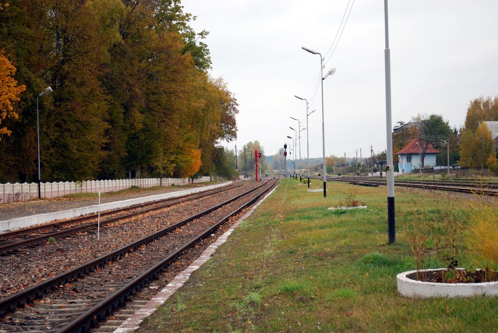 Station tracks (view of the north)
