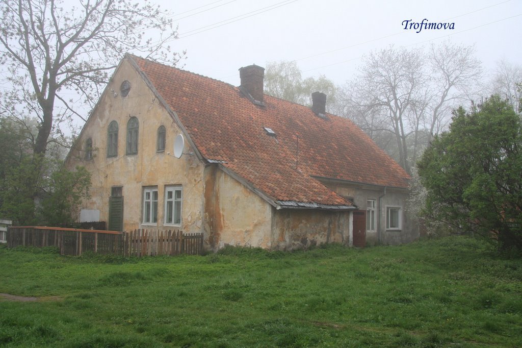 Старый домик