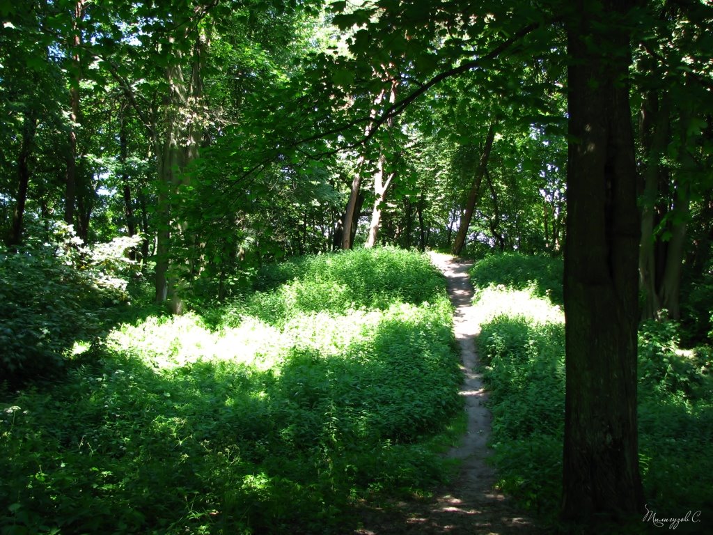 Zelenogradsk (earlier Cranz)