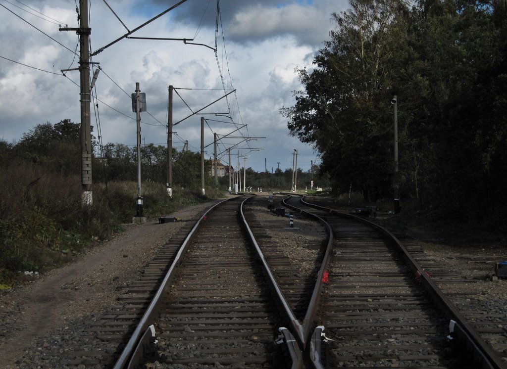 Железнодорожные пути на въезде в Зеленоградск.