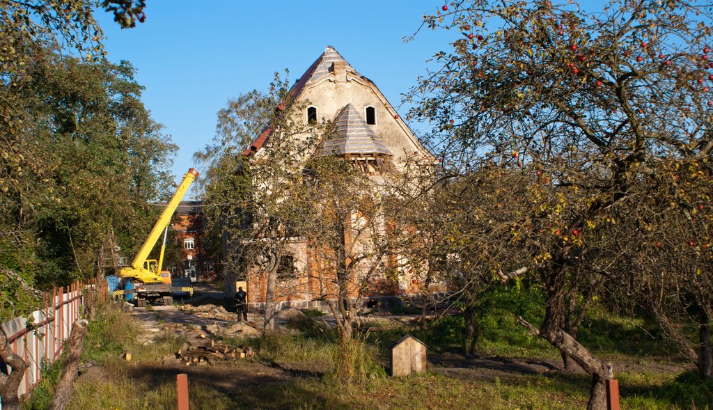 Восстановление католического храма (вид с тыльной стороны)