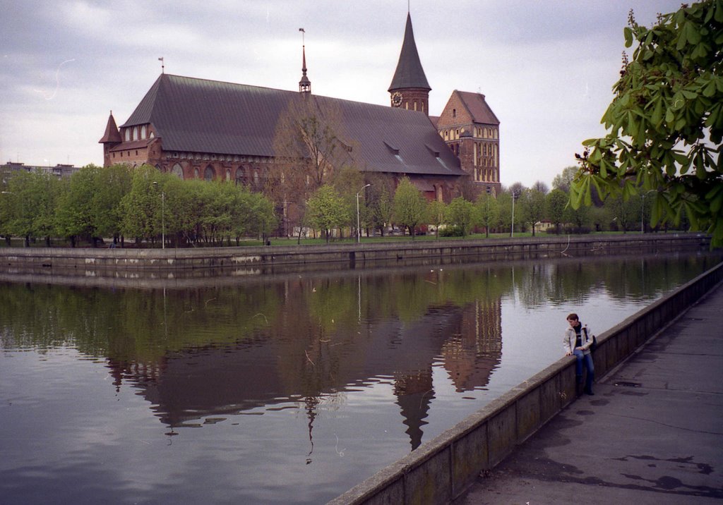 Калининград (Königsberg-Blick zum Kneiphof)
