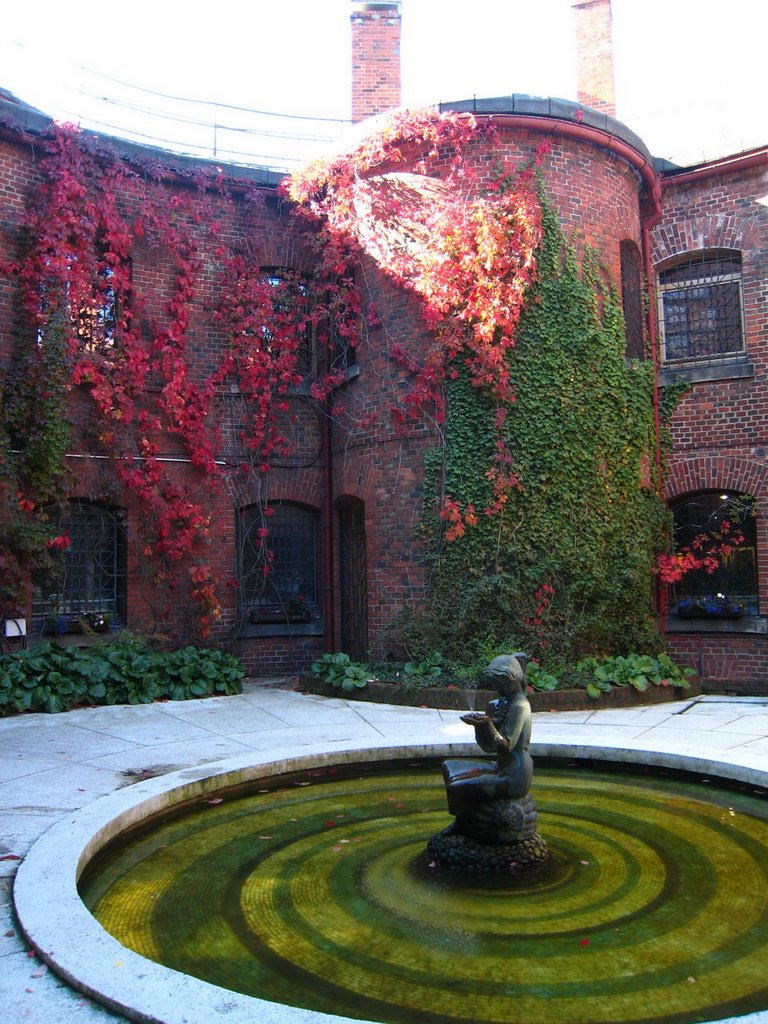 Inside amber museum