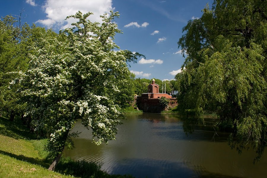 In the spring in park - Весной в парке