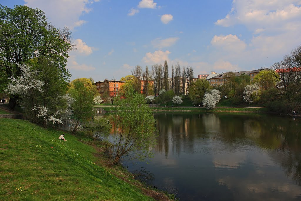 Lower pond in spring - Нижний пруд весной