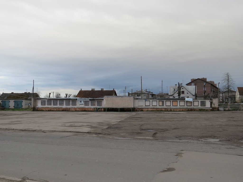 Трибуна