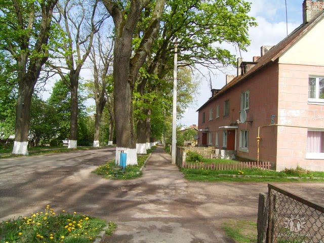 ул.Калининградская
