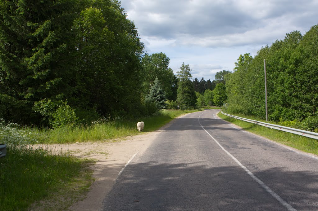 Окружная