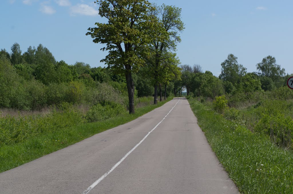 Дорога на Заречное