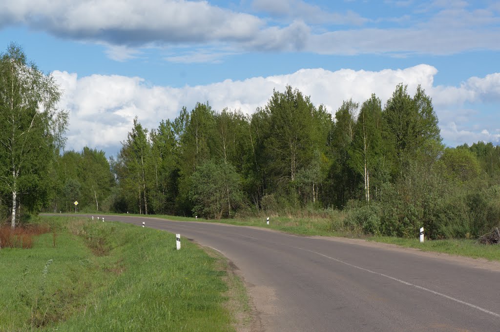 Окружная