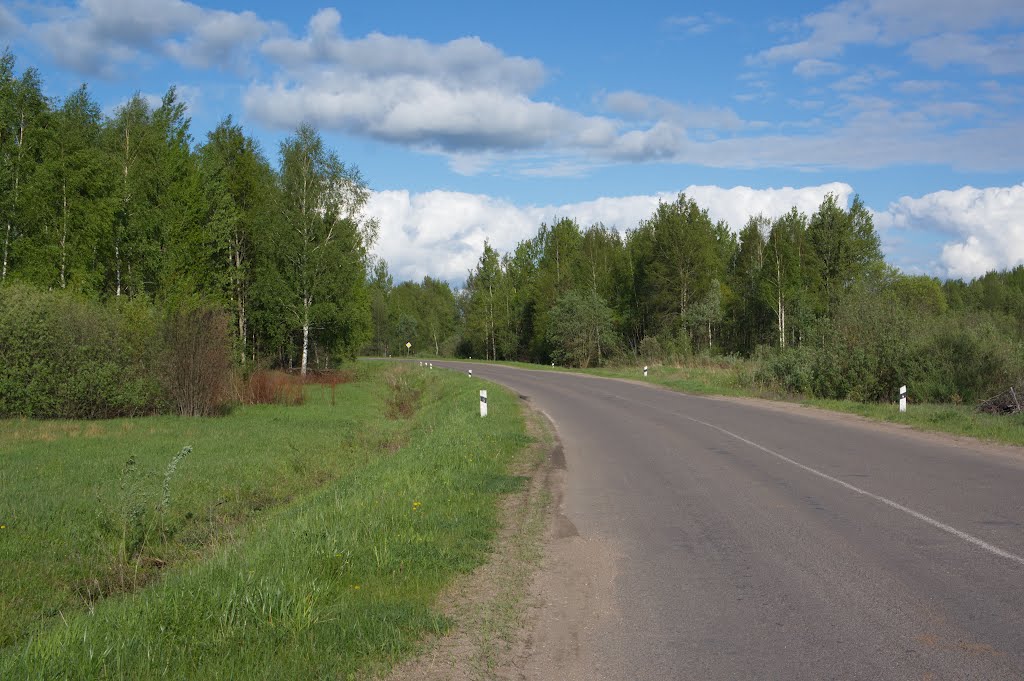 Окружная