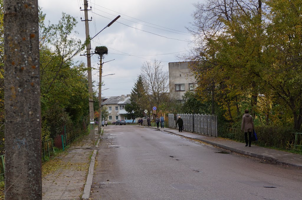 Начало ул. Антипенкова