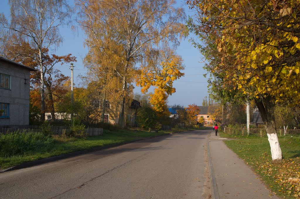 ул. Калининградская