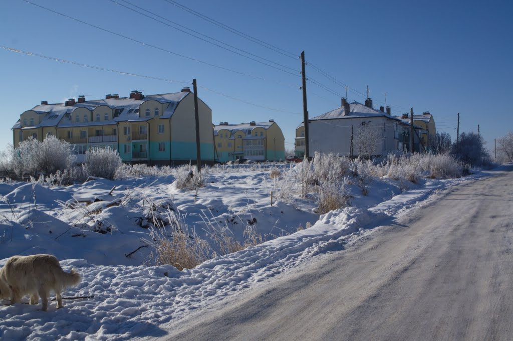 ул. Садовая зимой