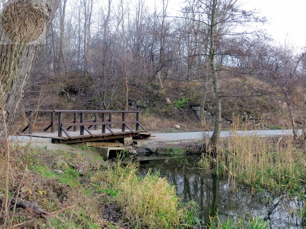An der Jarft + Деревянный мост