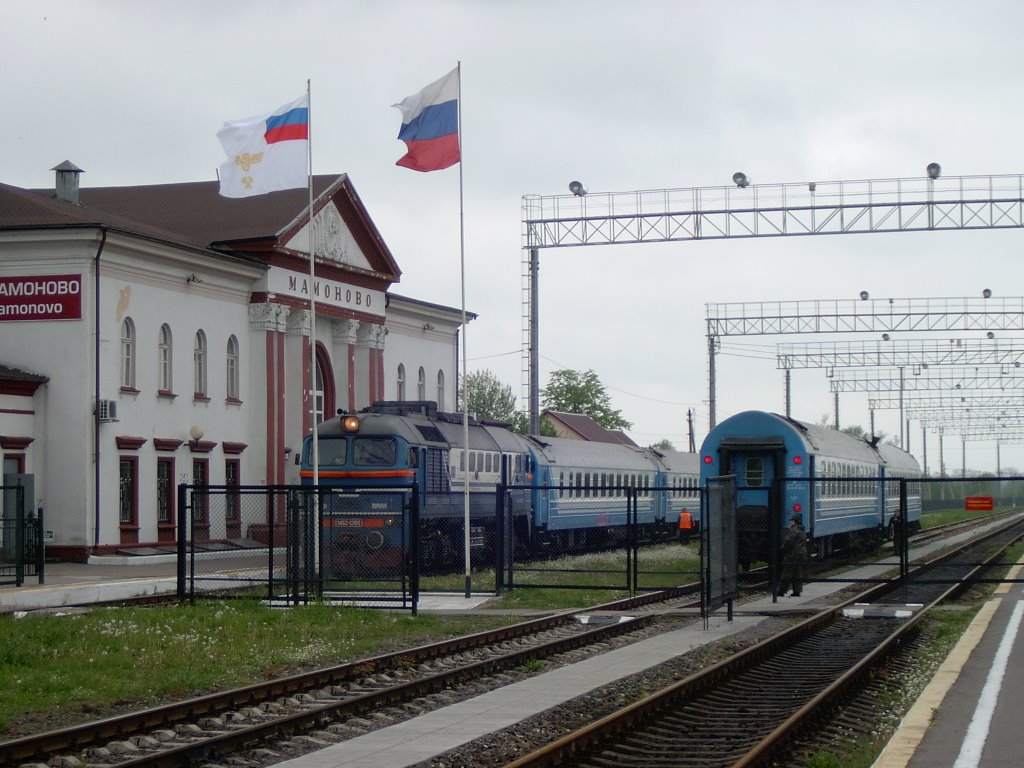 Mamonovo, Railway Station