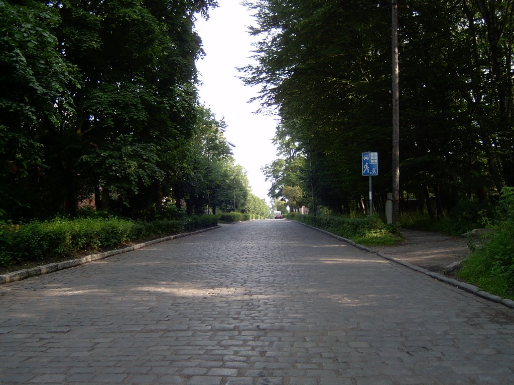 Улица Артиллерийская (Artillery Street)