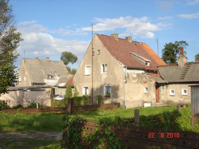 Вавилово (Bregden).