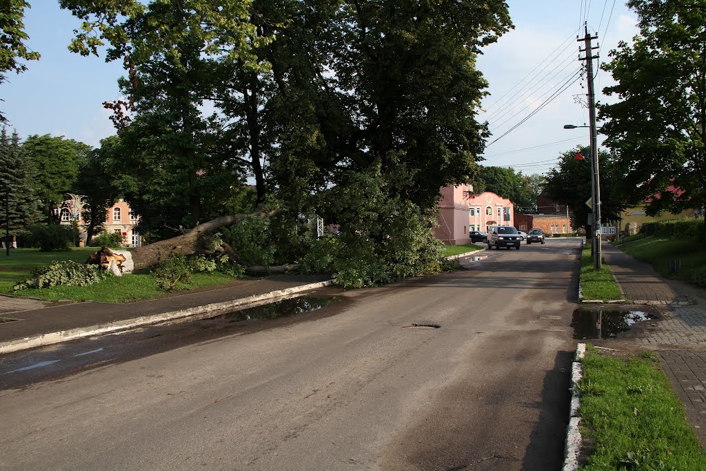 После урагана