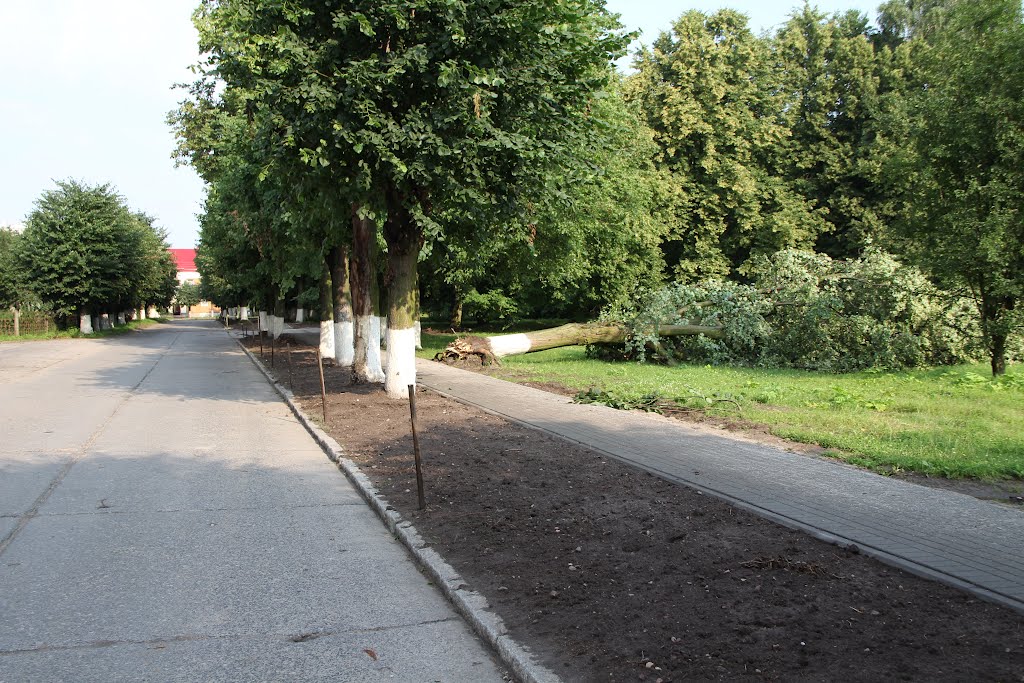 После урагана