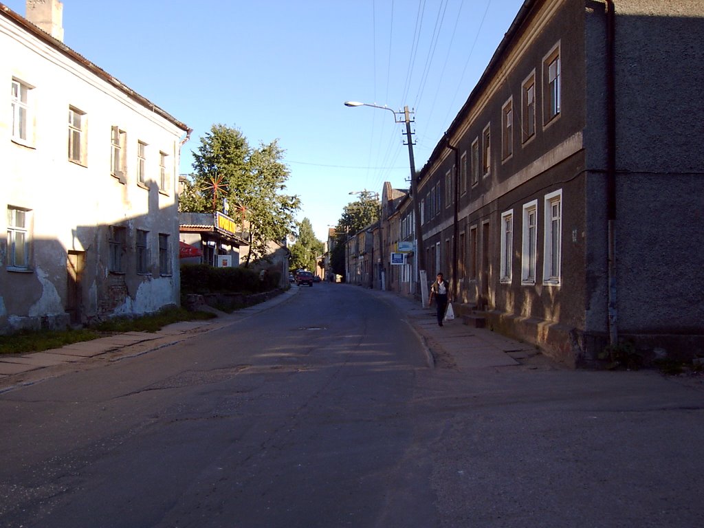 Просто лица, Just a street