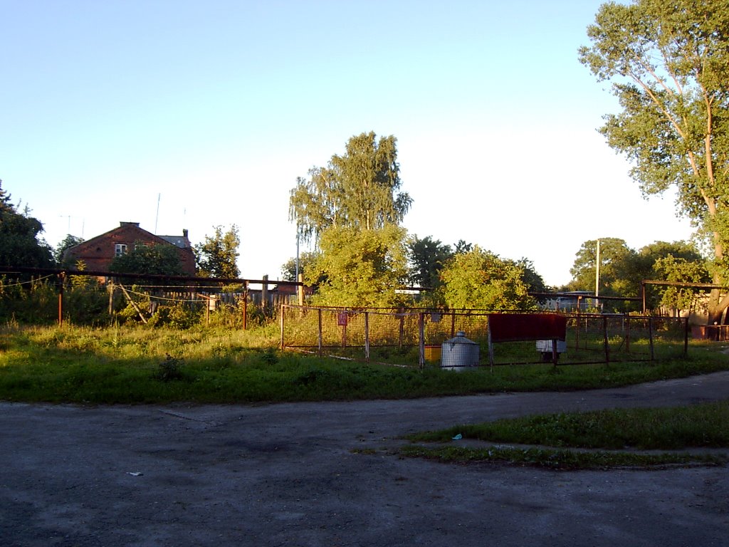 Двор, The yard