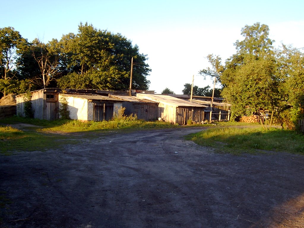 Сараи, Scheeds