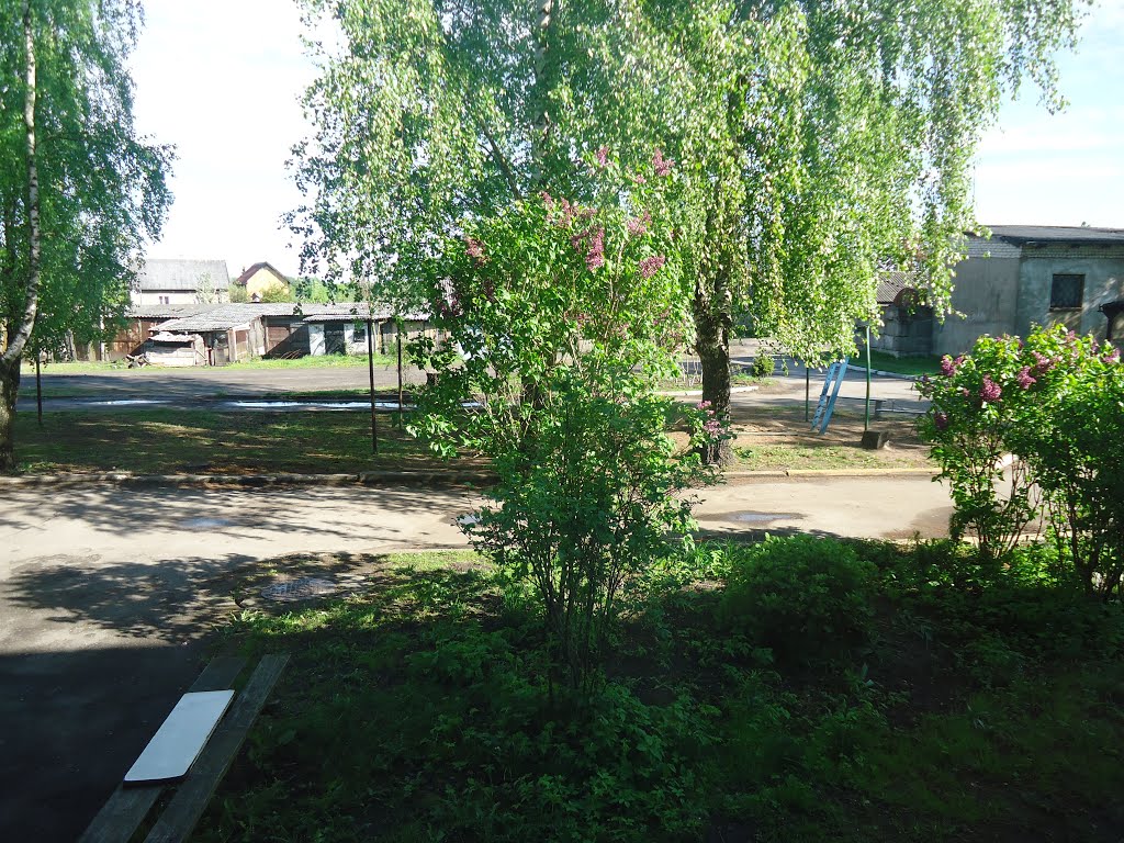 Вид из окна на ул. Луговую