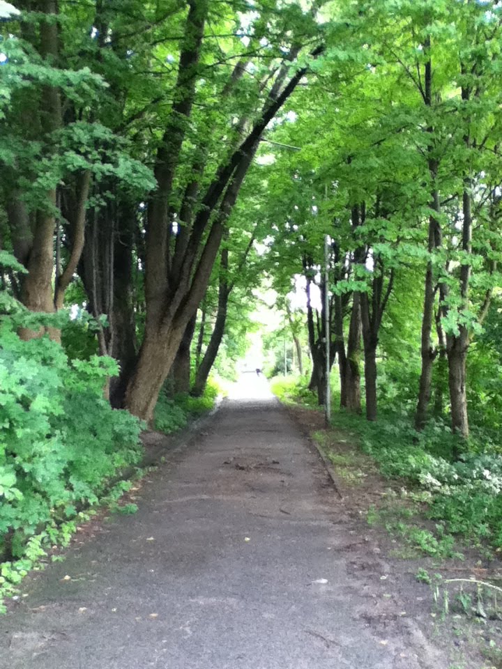 Alley