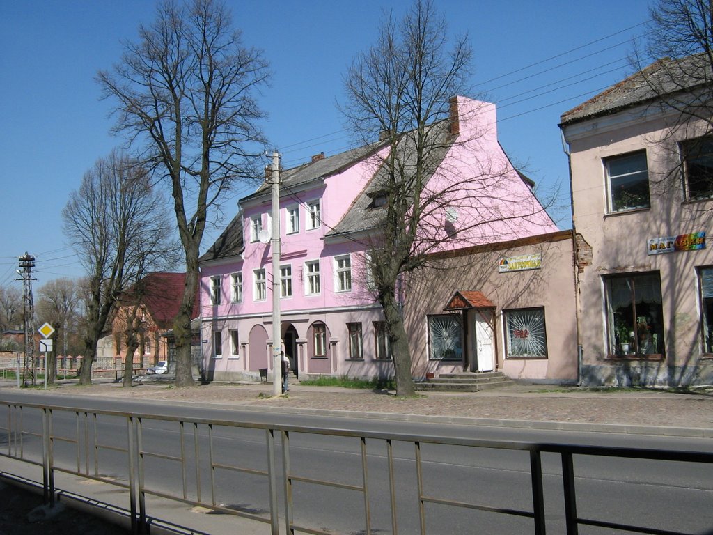 Nesterov