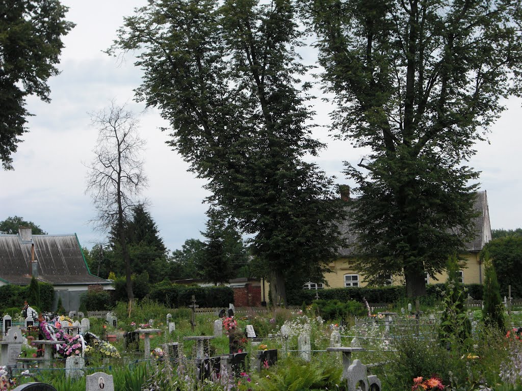 Nesterov cemetery/ Friedhof