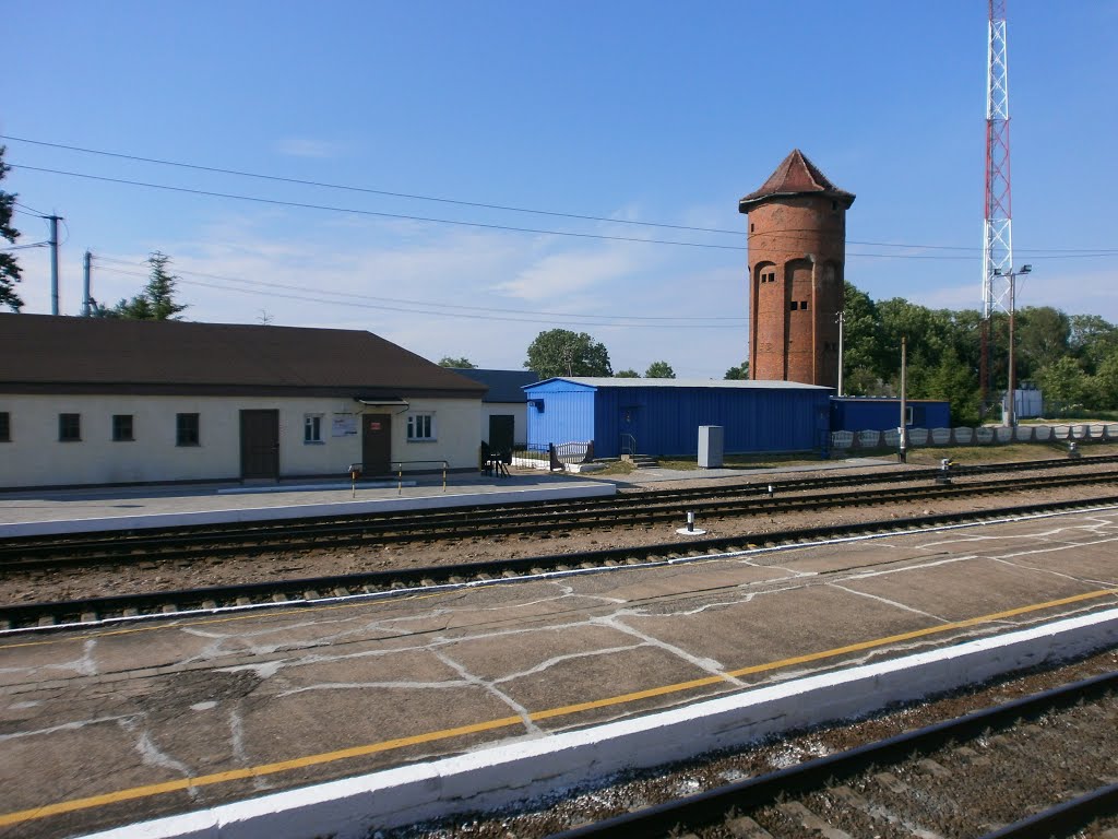 Nesterov railway station