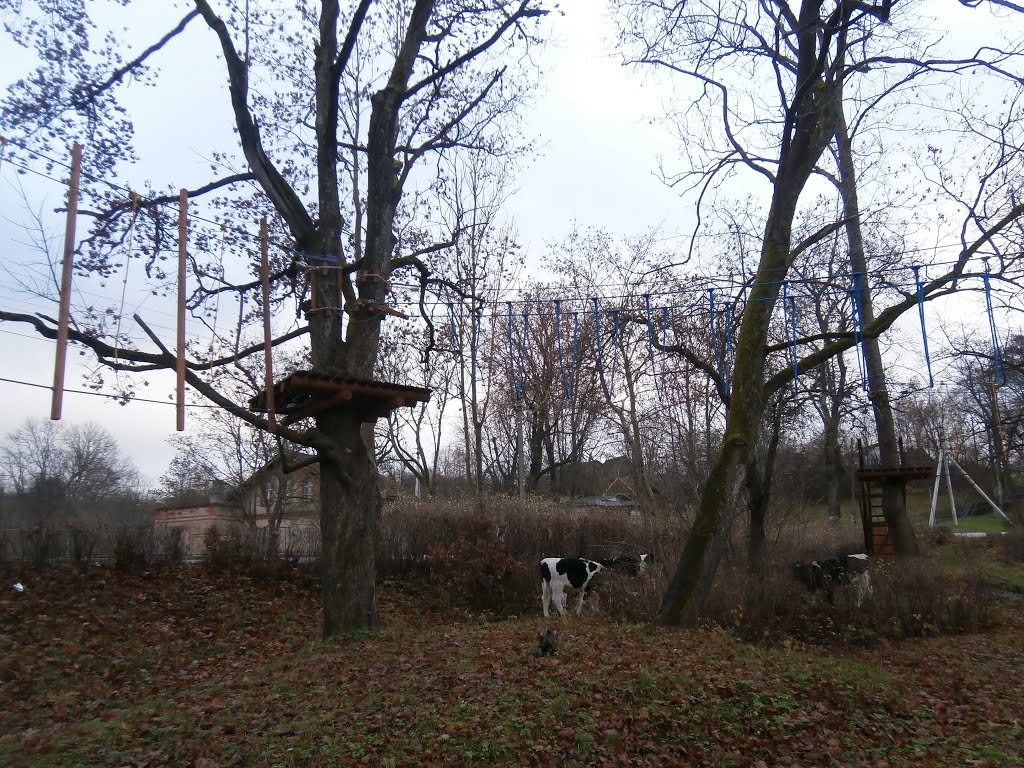 Веревочный парк