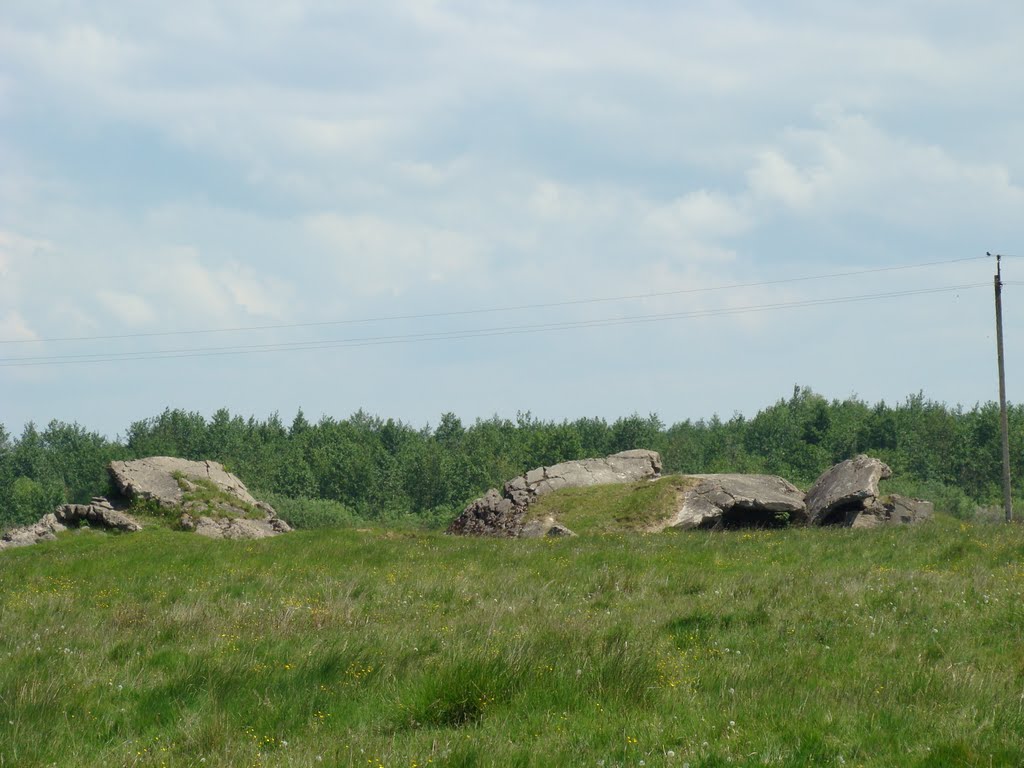 дзот
