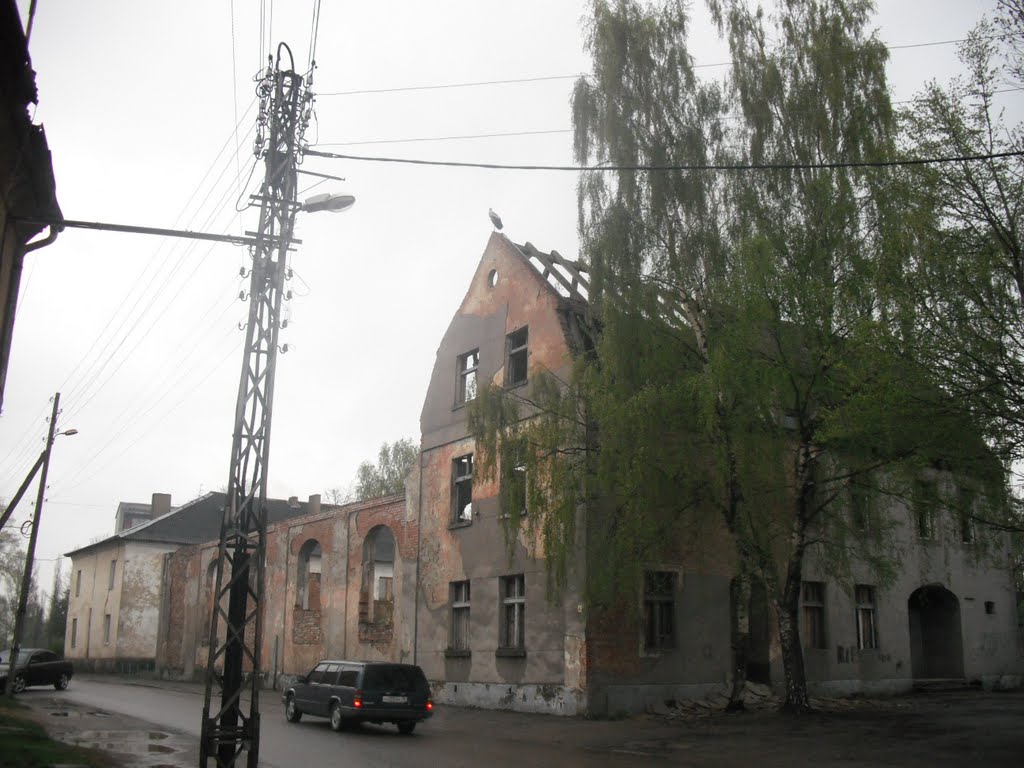 аист на крыше