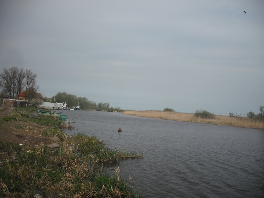 Полесск. Река  Дейма