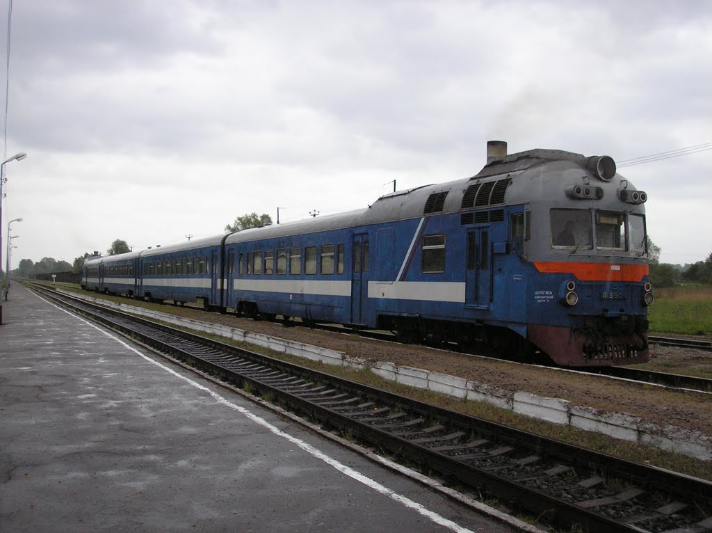 Дизель в Полесске
